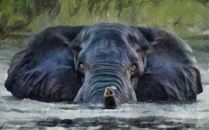 Elephant submerged in water with trunk raised