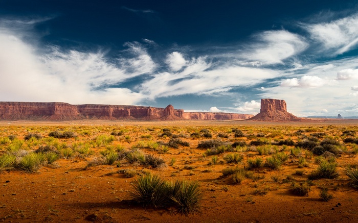 Monument Valley landscape with mesas and desert plants