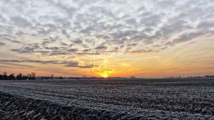 Sunrise over a frosty agricultural field with contrails