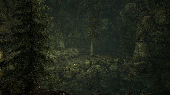 The Elder Scrolls V Skyrim cave with trees