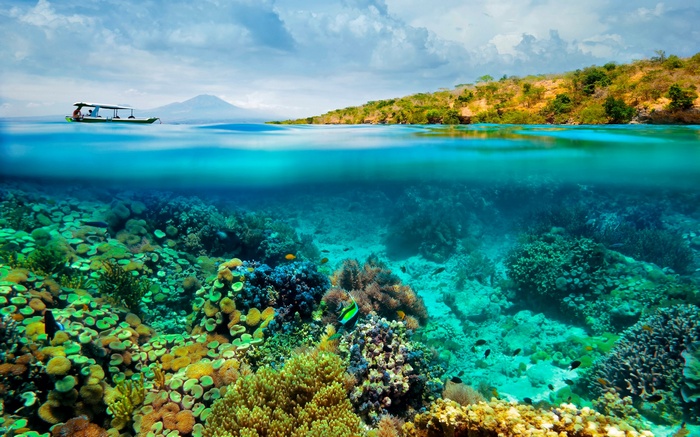 Split view of a boat and coral reef