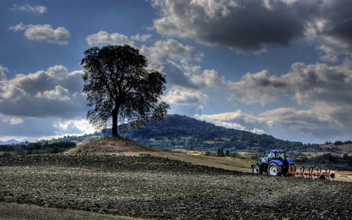 Tractor plowing a field with a lone tree on a hill