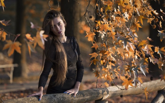 Woman in black dress posing by a wooden fence with autumn leaves
