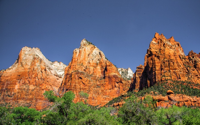 Red rock mountains and green trees under blue sky