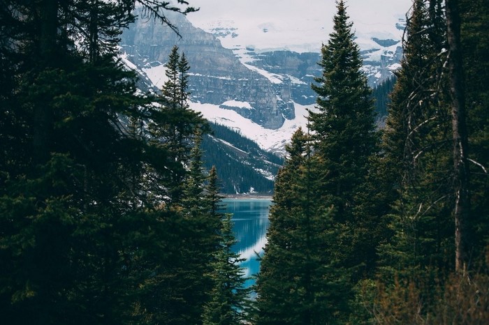 Forest framing a blue lake and snow-capped mountains