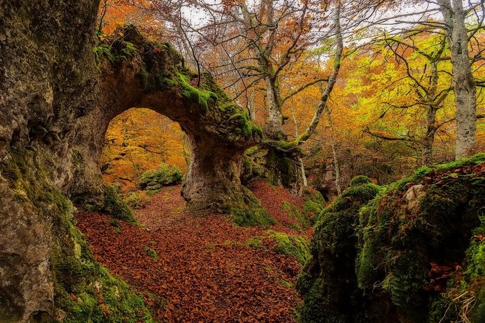 Autumn forest with a natural stone archway covered in moss