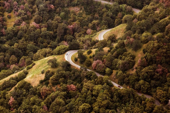 Winding mountain road through a dense forest
