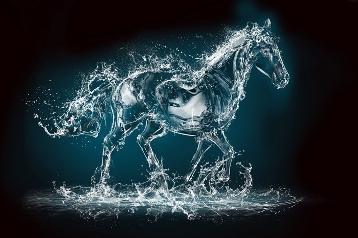 water, transparent, 10K, Horse