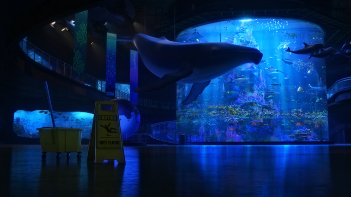 Finding Dory whale and aquarium exhibit