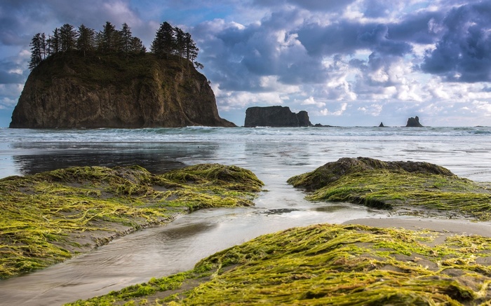 Rocky island with trees in the ocean and mossy rocks on the beach
