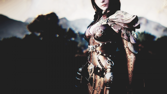 Woman in armor from Black Desert Online
