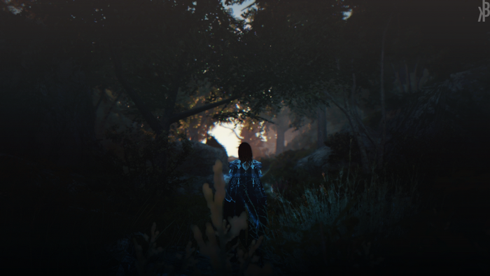 Woman in dark forest in Black Desert