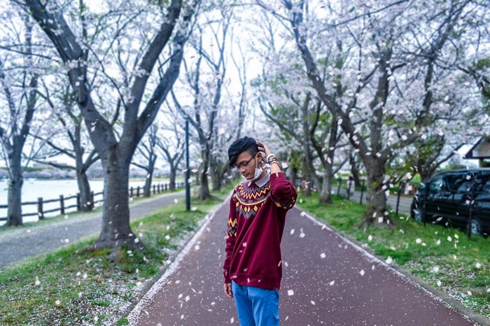 Man in cherry blossom tunnel in Japan