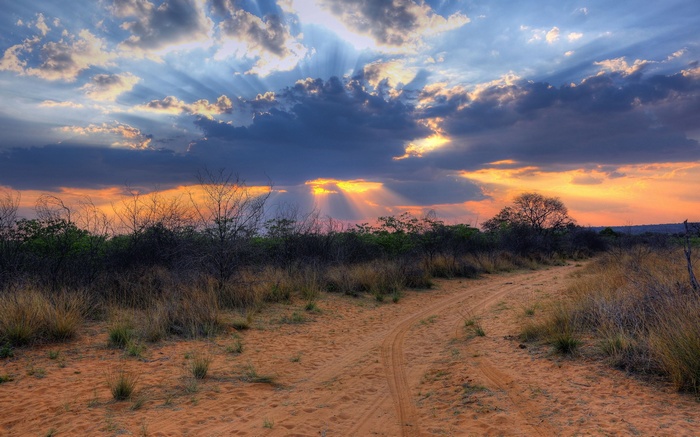 Sunset over a dirt road in a savanna landscape