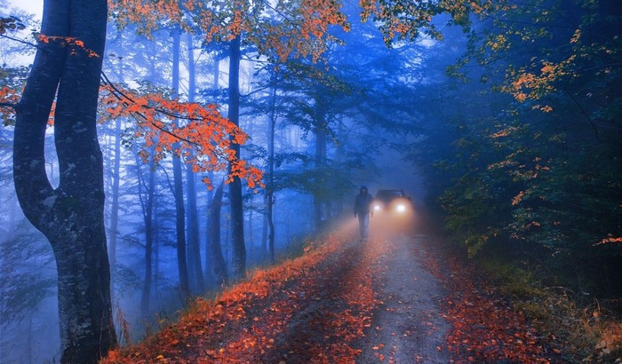 Person walking on a foggy forest road in autumn