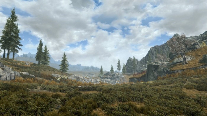 The Elder Scrolls V Skyrim landscape with mountains and trees