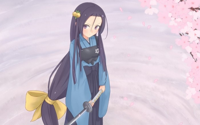 Akechi Mitsuhide from Oda Nobuna no Yabou with a katana