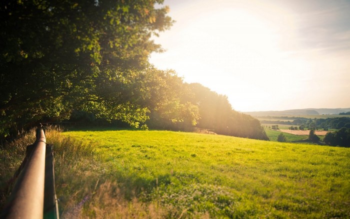 Sunlight over a grassy hill with trees and fields