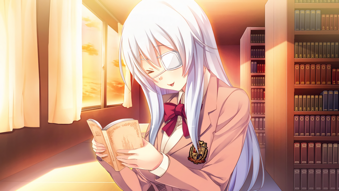 Miyasu Sanae from Innocent Bullet reading a book
