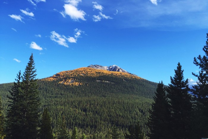 Mountain covered in autumn trees under a blue sky