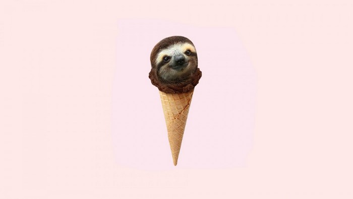 Sloth head on chocolate ice cream cone