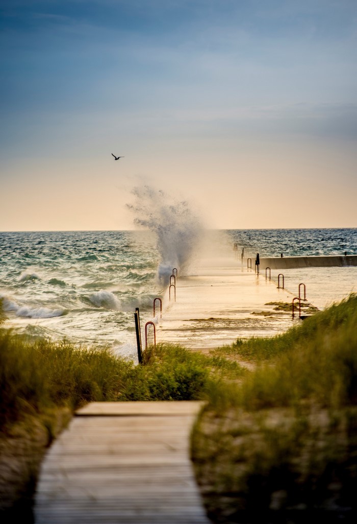 Wave crashing on pier at sunset with bird flying