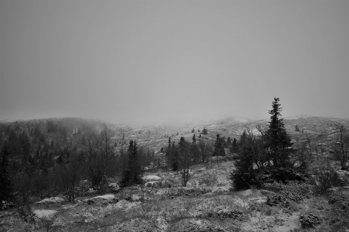 Monochrome winter landscape with snow-covered hills and trees