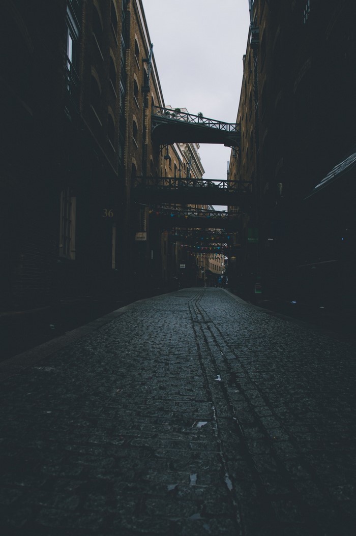 Cobblestone alley with elevated walkways