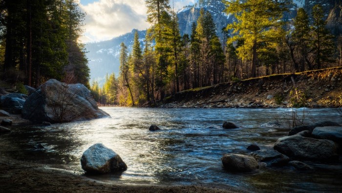 River flowing through a forest with mountains in the background