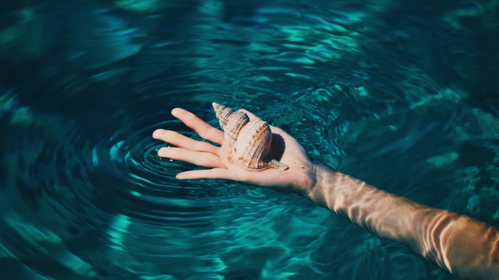 Hand holding a seashell in clear blue water