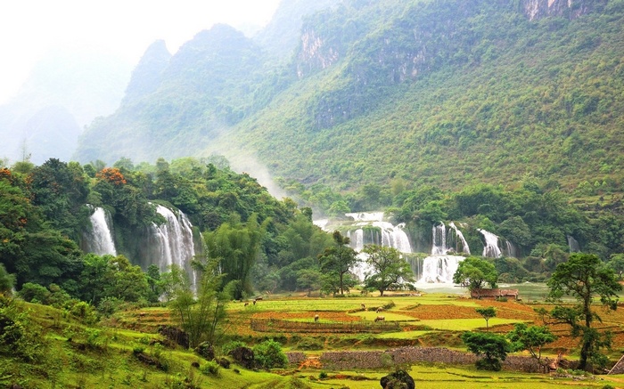 Ban Gioc Waterfall in Vietnam