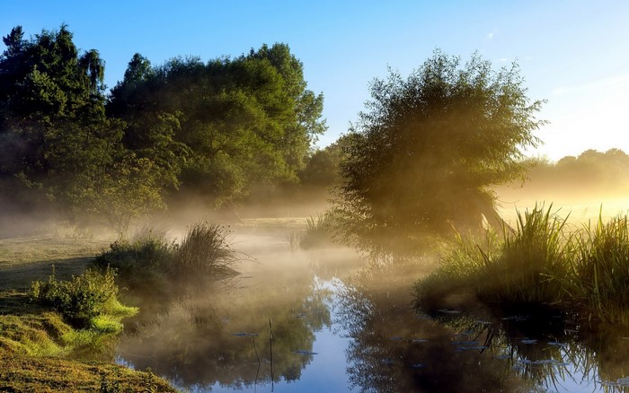 Misty river at sunrise with trees and reflections