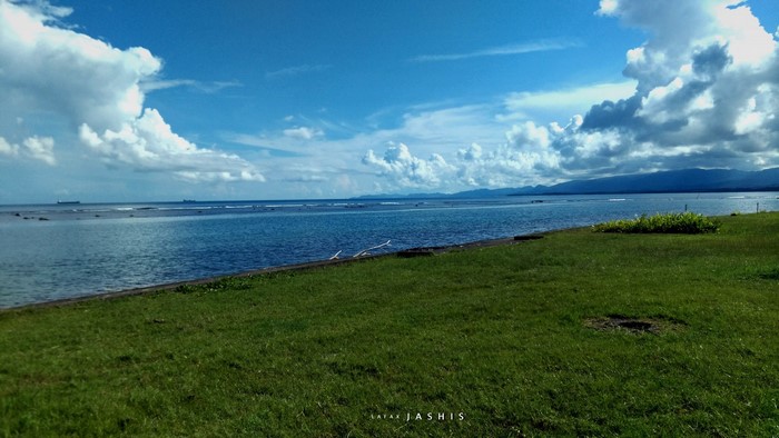 Ocean view with grassy shore and distant mountains