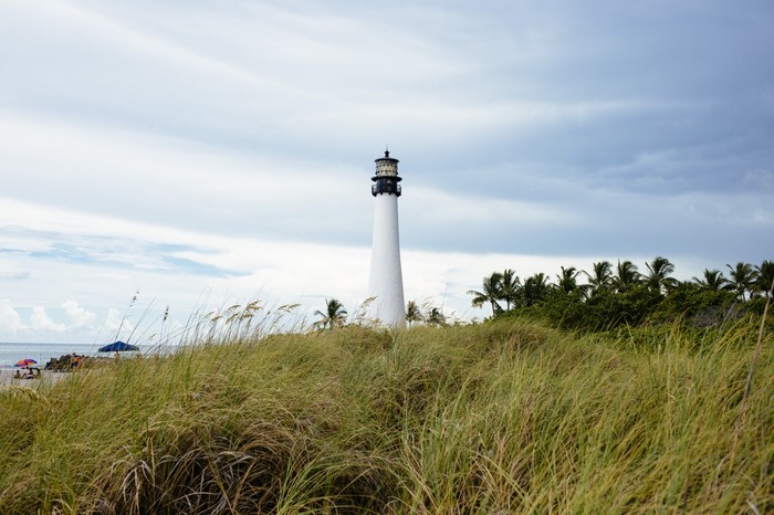 Lighthouse on a grassy shore with palm trees and ocean