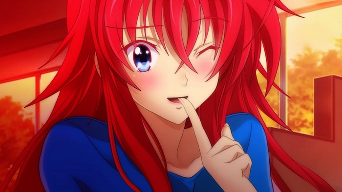 Rias Gremory from Highschool DxD Winking