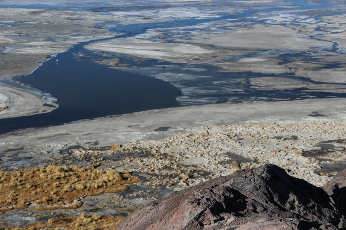 Frozen lake with birds and rocky shore