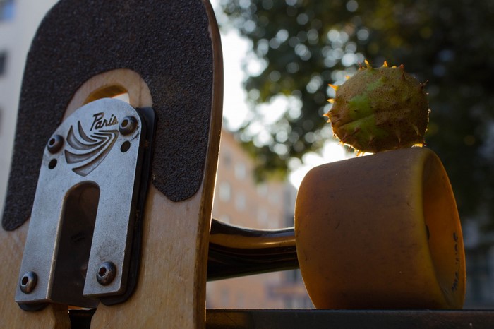 Close up of a Paris longboard truck with a chestnut on a wheel