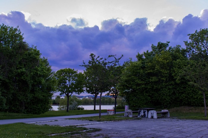 Park with trees and clouds by the water