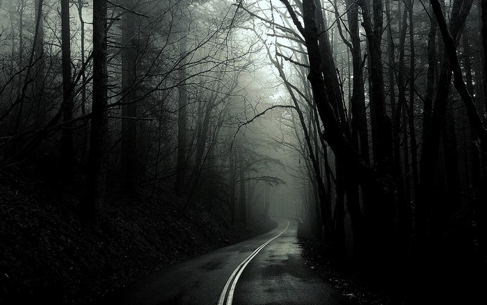A foggy road through a dark, misty forest