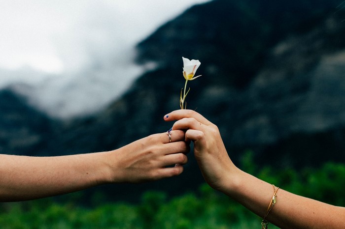 Two hands exchanging a white flower with mountains in the background