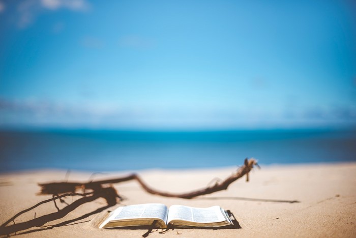 Open book on a sandy beach with driftwood and ocean background