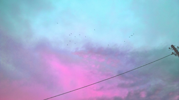 Birds flying in a colorful sky with clouds and a power line