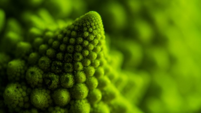 Close-up of Romanesco broccoli with fractal pattern