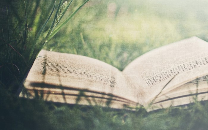 Open book lying in green grass with sunlight