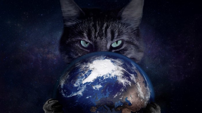 Cat holding the Earth in space