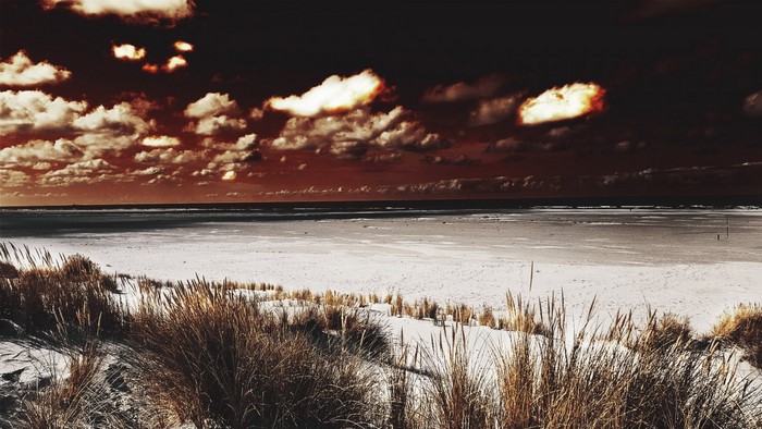 Beach with tall grass and dramatic sunset clouds