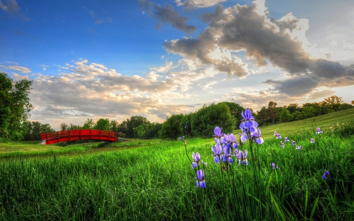 Red bridge over a stream with purple irises and a cloudy sky