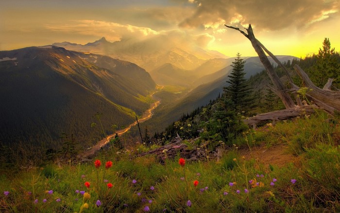Mountain valley at sunset with wildflowers