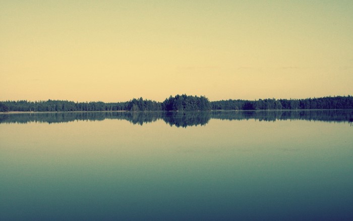 Lake with forest reflection at sunset