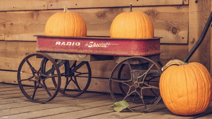 Pumpkins in a vintage Radio Flyer wagon